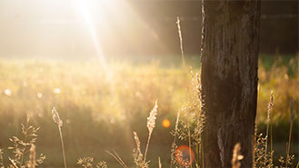 电脑短信轰炸机