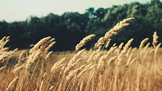24小时轰炸对方的电话软件