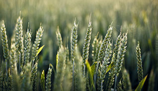 电话炸弹防护业务